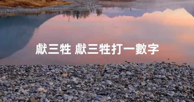 獻三牲 獻三牲打一數字
